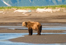 Katmai National Park